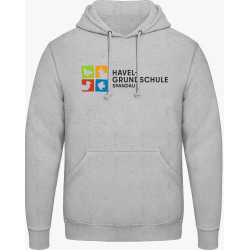 HOODIE grau - Logo farbig