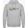 HOODIE grau - Logo farbig
