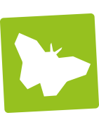 Schmetterlinge - Shirts